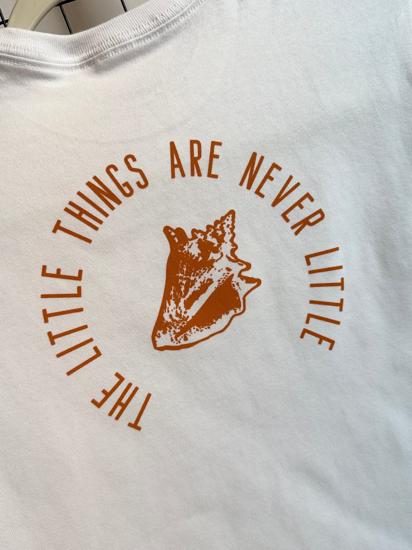 The Little Things Are Never Little