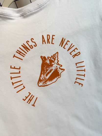 The Little Things Are Never Little