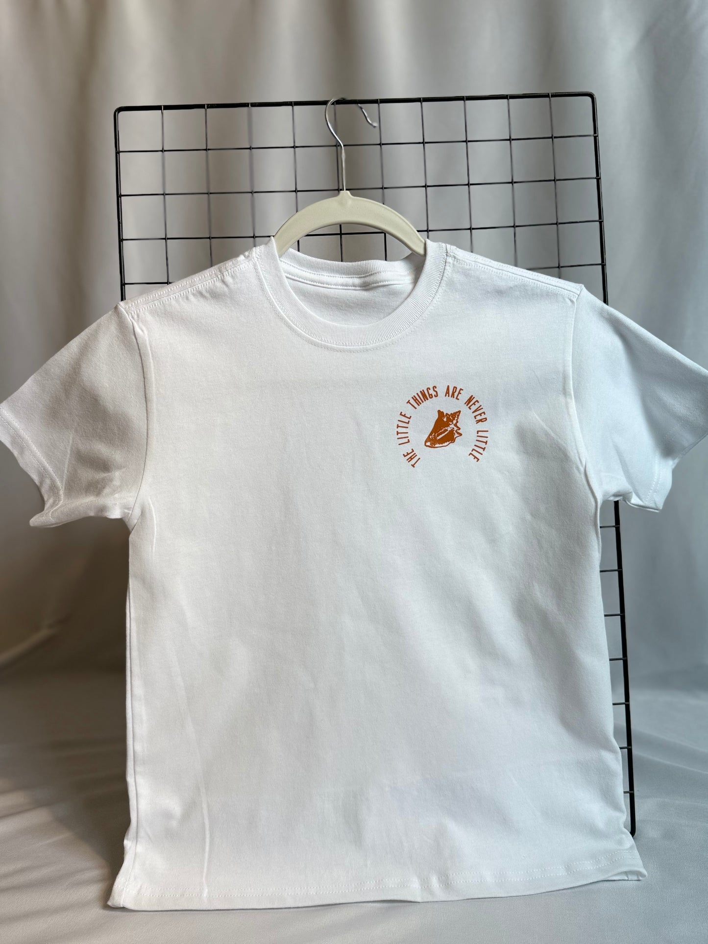 The Little Things Are Never Little